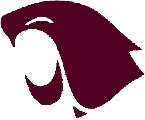 WSU Cougar's Logo mid-1970s